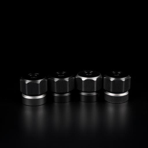 Metal Valve Caps (Set of 4)